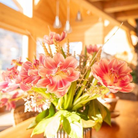 Chalet Ski Academie - Serre Chevalier Saint-Chaffrey Eksteriør billede